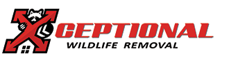 xceptional wildlife removal